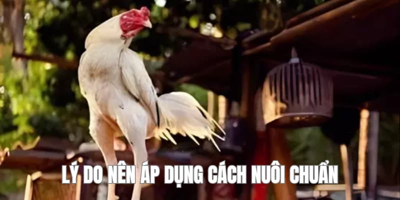 Lý do nên áp dụng nuôi khoa học