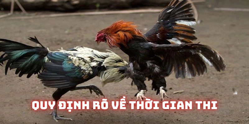 Bộ môn quy định rõ ràng về thời gian thi