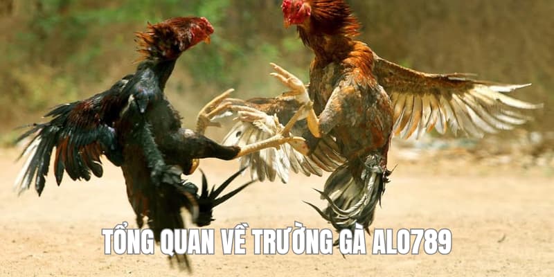 Đôi nét về trường gà