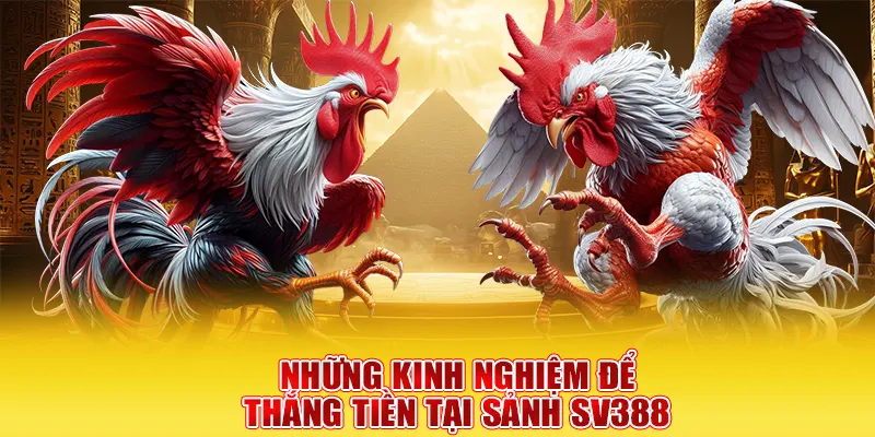 Những kinh nghiệm để thắng tiền tại sảnh SV388