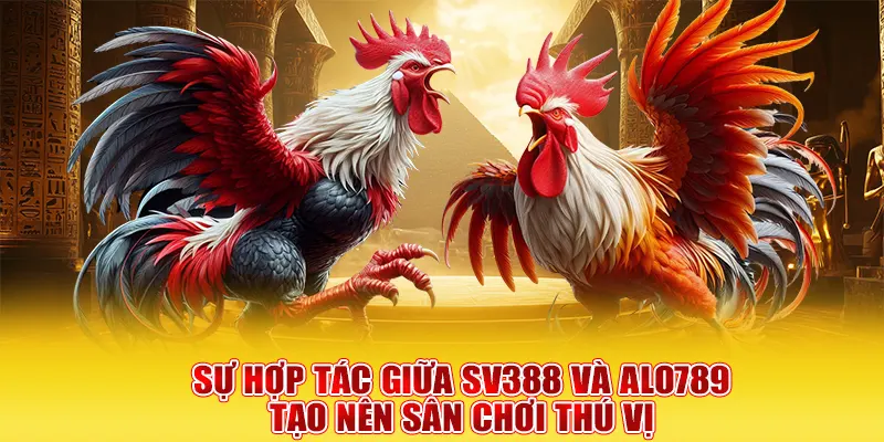 Sự hợp tác giữa SV388 và Alo789 tạo nên sân chơi thú vị