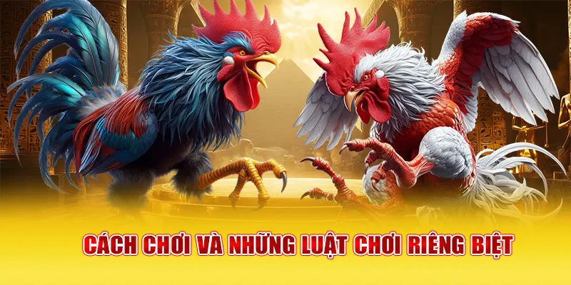 Cách chơi và những luật chơi riêng biệt