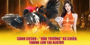 sảnh sv388 - đấu trường sinh tồn của chiến kê