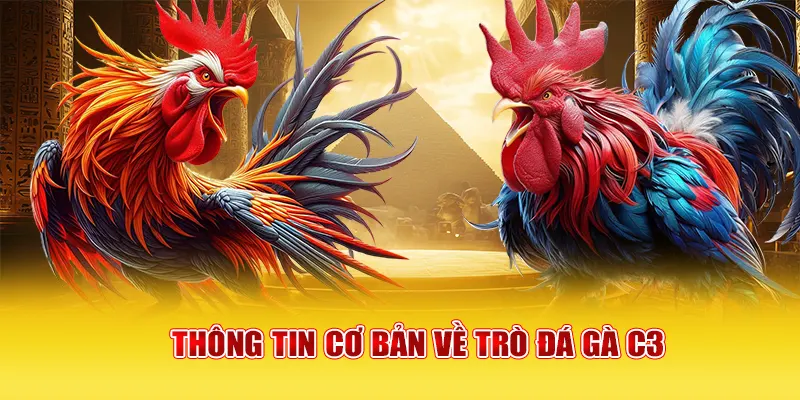 Thông tin cơ bản về trò đá gà C3